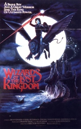 Wizards Of The Lost Kingdom
