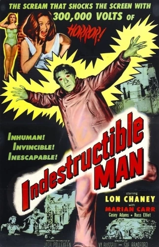 Theatrical Poster (USA)