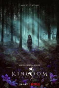 Kingdom: Ashin Of The North