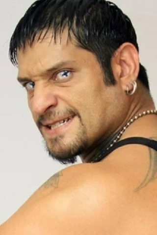 Cibernético