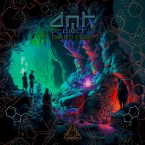DMT Project