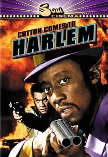 DVD Cover (Metro-Goldwyn-Mayer)