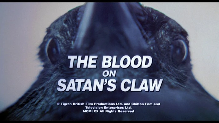 Title Card