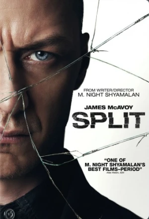 DVD Cover (Universal)