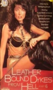 Leatherbound Dykes From Hell 6