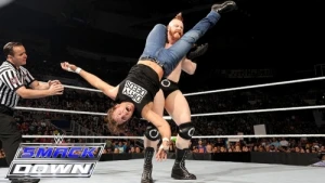 SummerSlam 2015 Fallout