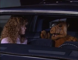 Stop in the Name of Love