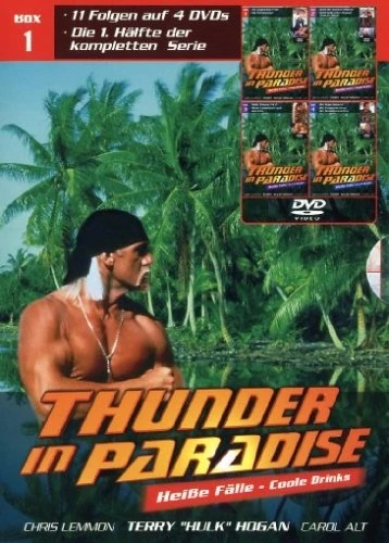 DVD Cover (Germany)