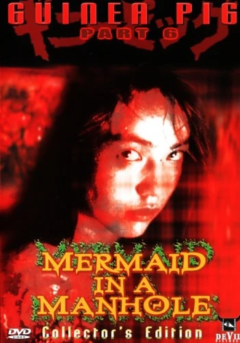 DVD Cover (Devil Pictures)
