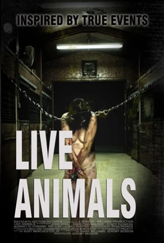 Theatrical Poster