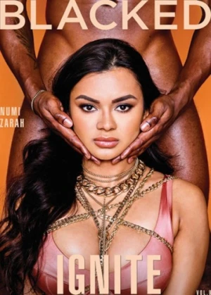 DVD Cover (Blacked)