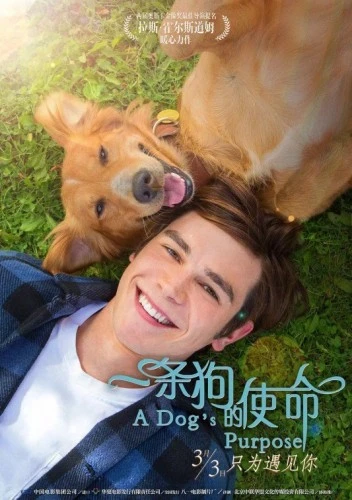 Theatrical Poster (Japan)