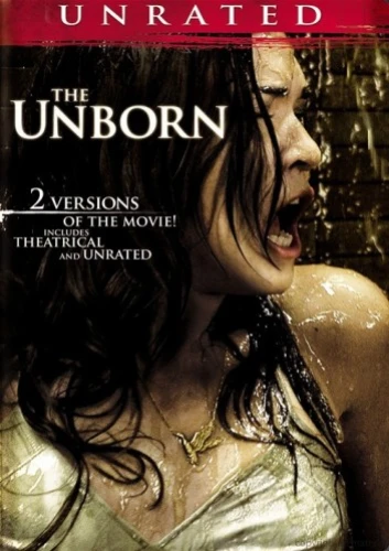 DVD Cover (Rogue Pictures)