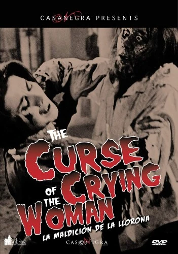 DVD Cover (Panik House)
