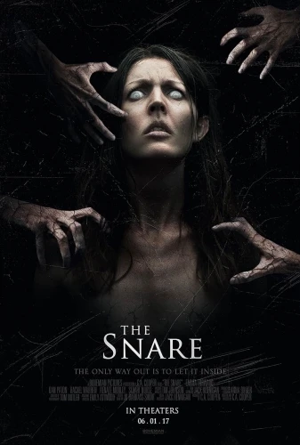 Theatrical Poster