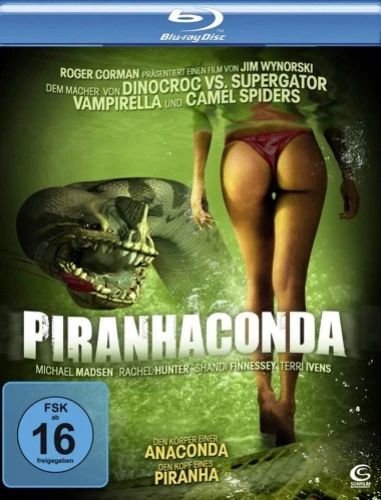 Blu-Ray Cover (Germany)
