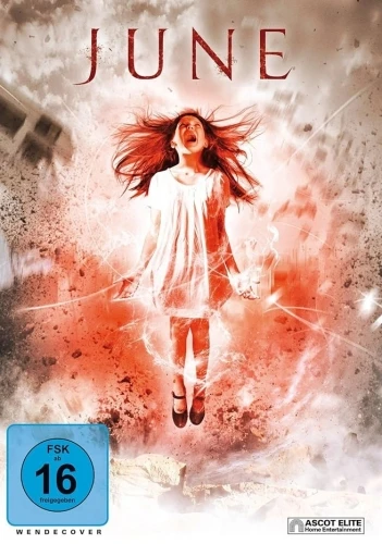 DVD Cover (Germany)