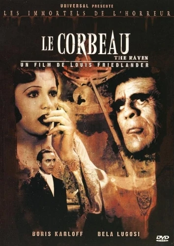DVD Cover (France)