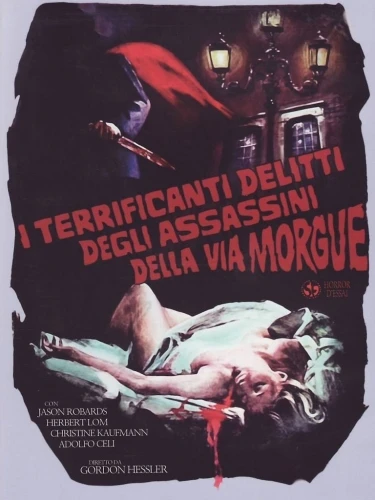DVD Cover (Italy)