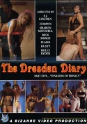 The Dresden Diary 5: Invasion Of Privacy