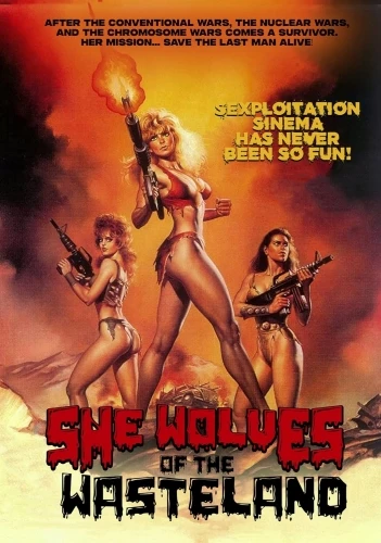 DVD Cover (Cheezy Movies)