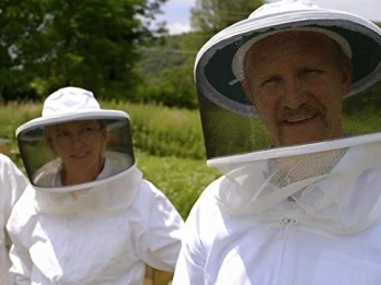 Honey, Bee-Ware