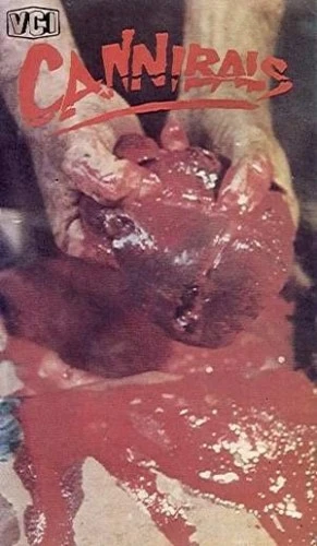 VHS Cover (VCI Home Video)
