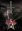 The Occultist