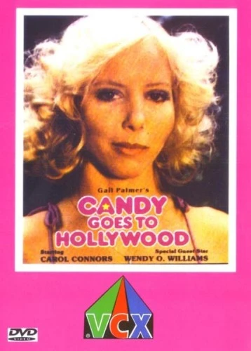 DVD Cover (VCX)
