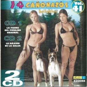 14 Cañonazos Bailables Vol. 41