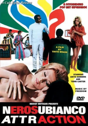 DVD Cover (Cult Epics)