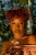 Amanda-May Wilson