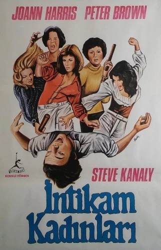 Theatrical Poster (Turkey)