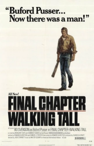 Theatrical Poster