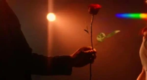 The Bachelor: Every Rose has Its Thorn