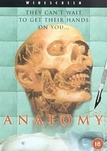DVD Cover (UK)
