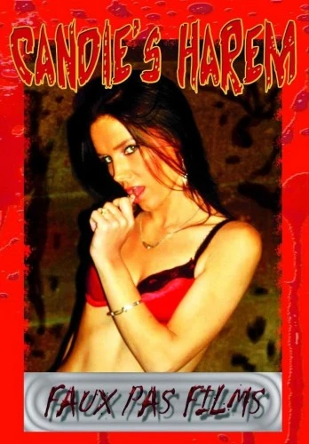 DVD Cover (Faux Pas Films)