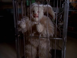 Honey, the Bunny Bit It