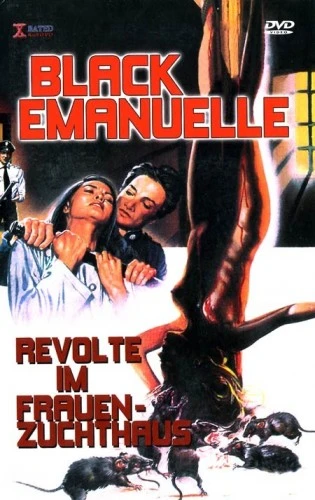 DVD Cover (Cineworld)