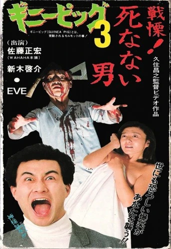 Theatrical Poster (Japan)