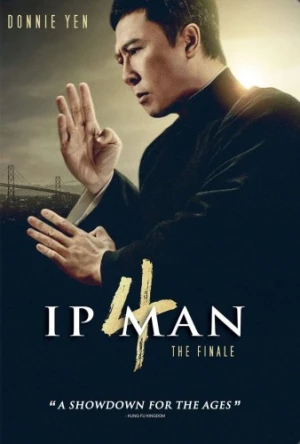 DVD Cover (Well Go USA)