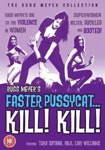 DVD Cover (UK)