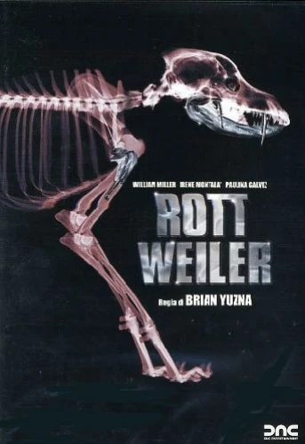 DVD Cover (Italy)