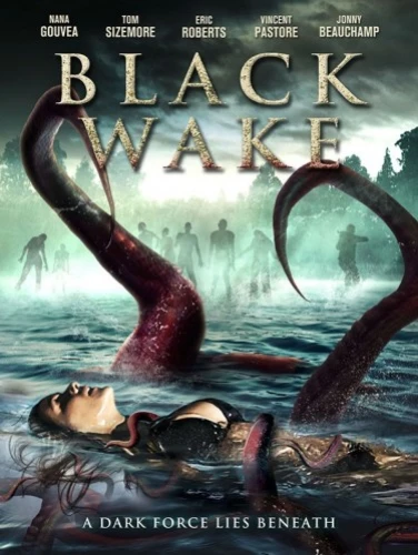 DVD Cover (Vision Films)