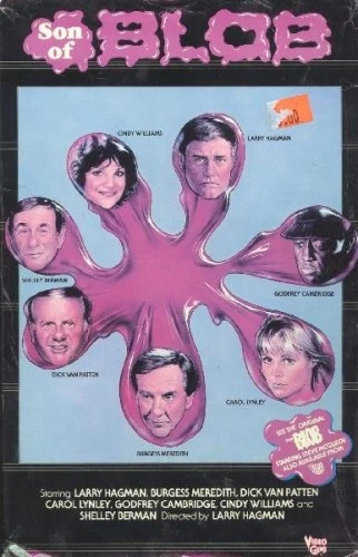 VHS Cover (Video Gems)