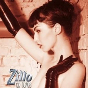 ZilloScope 2008/03