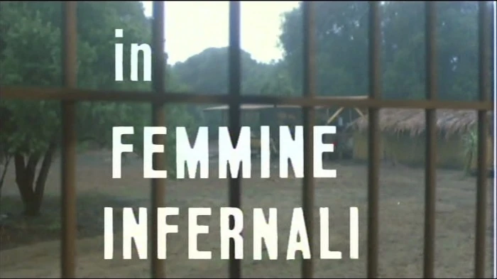 Title Card