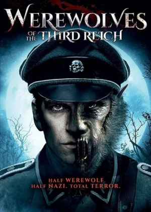 DVD Cover (4Digital Media)