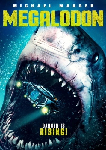 DVD Cover (101 Films)