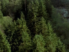 Letters from the Other Side: Part 1